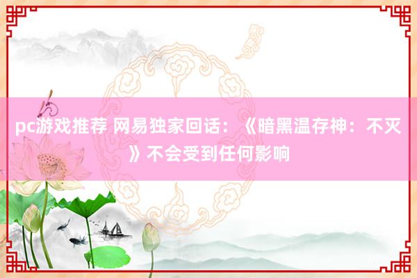 pc游戏推荐 网易独家回话：《暗黑温存神：不灭》不会受到任何影响