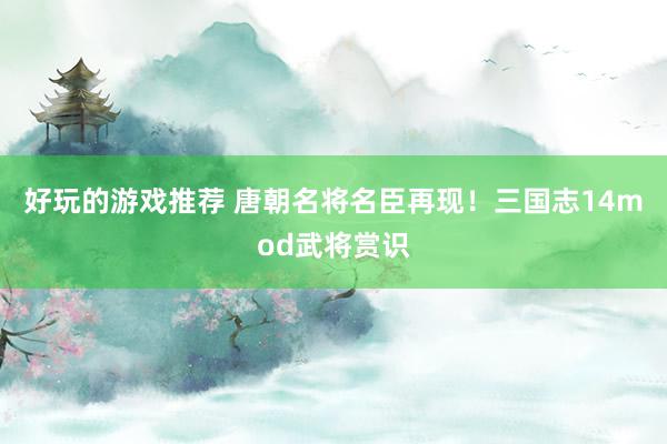 好玩的游戏推荐 唐朝名将名臣再现！三国志14mod武将赏识